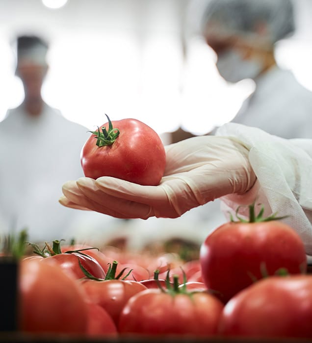 Consulente-per-sicurezza-alimentare-brescia